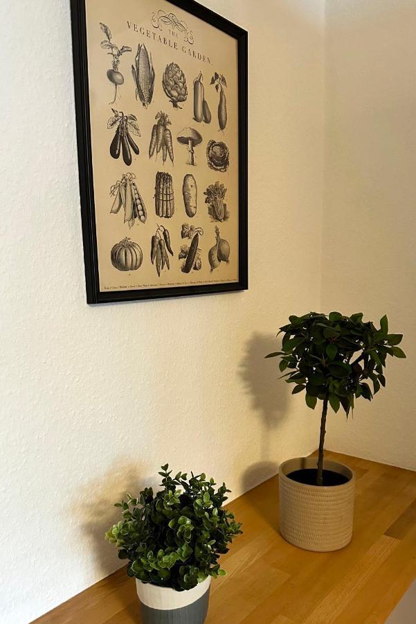 City-Apartment In Krefeld - Beuys Apartments - Krefeld Zewnętrze zdjęcie